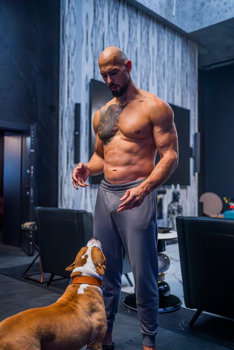 andrew-tate-pets-his-dog andrew tate pets his dog